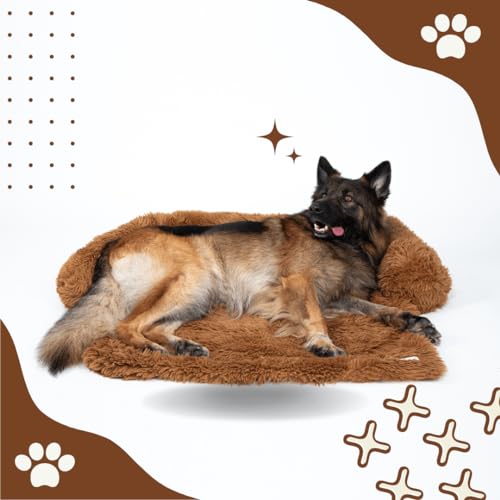 Pfoten&Nasen(TM Intelligente Hundebett Sofaschutz, Farbe:Braun, Größe:Groß von Pfoten&Nasen