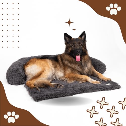 Pfoten&Nasen(TM Intelligente Hundebett Sofaschutz, Farbe:Dunkelgrau, Größe:Groß von Pfoten&Nasen