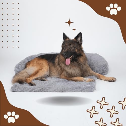 Pfoten&Nasen(TM Intelligente Hundebett Sofaschutz, Farbe:hellgrau, Größe:Groß von Pfoten&Nasen
