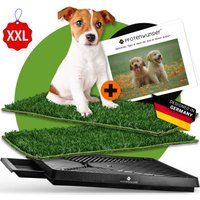 PfotenWunder® Hundeklo XXL 76*51cm, 2 Easy-Wash-Rasen + 1 Büchlein, Hundetoilette für kleine & große Hunde, festes Gras, Welpentoilette drinnen Welpenklo zuhause Gras Hundetoiletten Balkon Indoor WC Klo von PfotenWunder®
