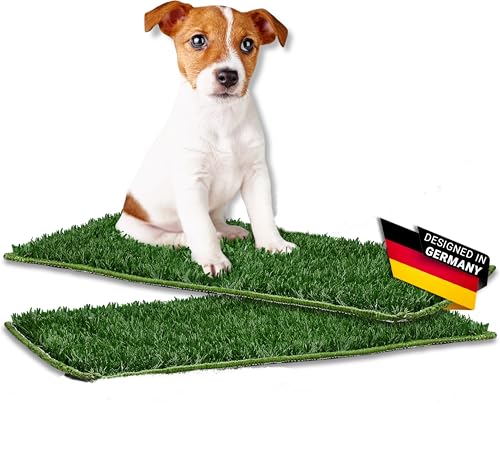 PFOTENWUNDER® 2x-6x Ersatz-Kunstrasen für Hundeklo, Hundetoilette Gras, Easy-Wash, für Hundeklo Hundetoilette mit 63x51cm, kleine Hunde Balkon Indoor WC Welpen-Klo (4X Ersatzrasen, 2, stück) von PfotenWunder