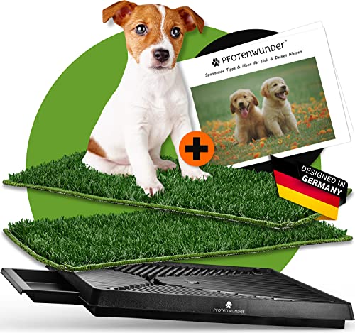 PFOTENWUNDER® Hundeklo + 2X-Easy-WASH-Rasen + 1x Büchlein, Hunde-Toilette für kleine & große Hunde, Festes Gras & Anti-Rutsch, Welpen-Klo drinnen zuhause Gras Hundetoiletten Balkon Indoor WC von PfotenWunder