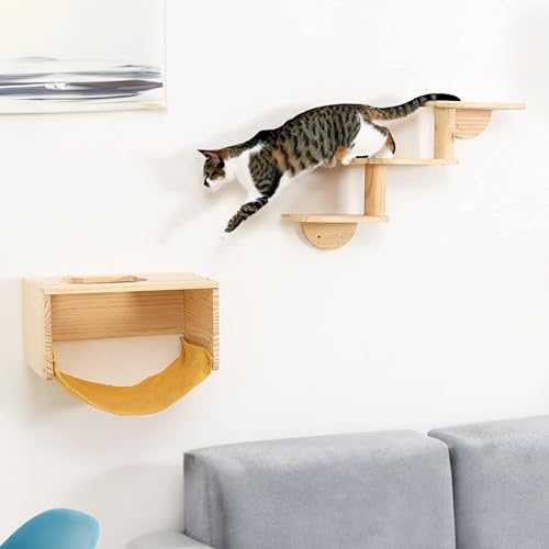 Pfotenolymp Katzen Klettern Wall Lounge mit Leiter - Wandmontiertes Katzenmöbel für Indoor-Aktivitäten, Klettern und Ausruhen - Robuste Konstruktion, 3-teiliges Set für Katzenspaß von Pfotenolymp