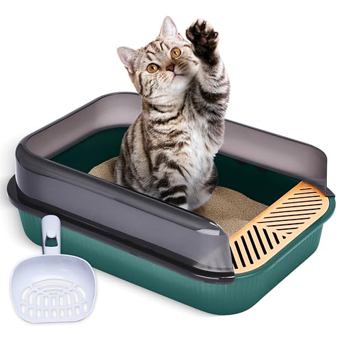 Pfotenolymp Katzentoilette - offenes Design - Klumpstreu-Katzentoilette mit auslaufsicherem Design und verlängerter Trittfläche - Cat Litter Box Geeignet für Katzen bis 3,6 kg - Dunkelgrün von Pfotenolymp
