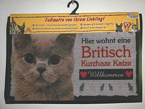 Pfronten Fußmatte Britisch Kurzhaar Katze (9), Fußabtreter, Türvorleger, Türmatte wetterfest von Pfronten
