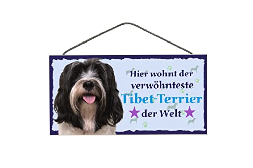 Pfronten Türschild Tibet-Terrier (93) aus Holz Schild Hund deutsche Herstellung von Pfronten