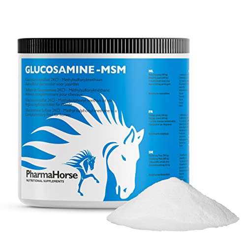 PharmaHorse Glucosamin & MSM | ausgewogene Mischung | 100% dopingfrei | Humanqualität | 100% frei von Zuckerzusätzen | 500 Gramm PharmaHorse Glucosamin & MSM | ausgewogene Mischung | 100% dopingfrei | Humanqualität | 100% frei von Zuckerzusätzen | 500 Gramm von PharmaHorse