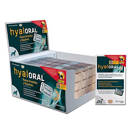 Hyaloral für große und große Hunde 360 Comp | Nahrungsergänzungsmittel für Hüftschmerzen, Gelenke und Kartylagen | Vitaminische Ergänzung zur Stärkung von Sehnen und Bändern Hyaloral für große und große Hunde 360 Comp | Nahrungsergänzungsmittel für Hüftschmerzen, Gelenke und Kartylagen | Vitaminische Ergänzung zur Stärkung von Sehnen und Bändern von Pharmadiet
