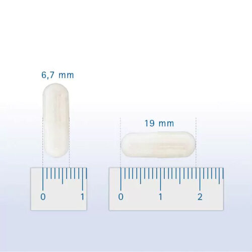 Pharmox Hund & Katze Kollagen Typ II - 60 Kapseln von Pharmox