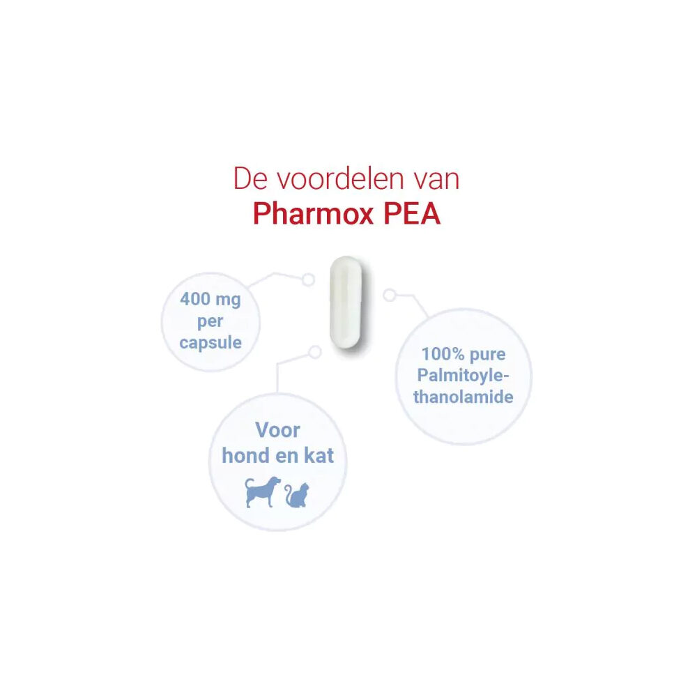 Pharmox PEA 100% Rein Hund und Katze - 2 x 60 Kapseln Pharmox PEA 100% Rein Hund und Katze - 2 x 60 Kapseln von Pharmox
