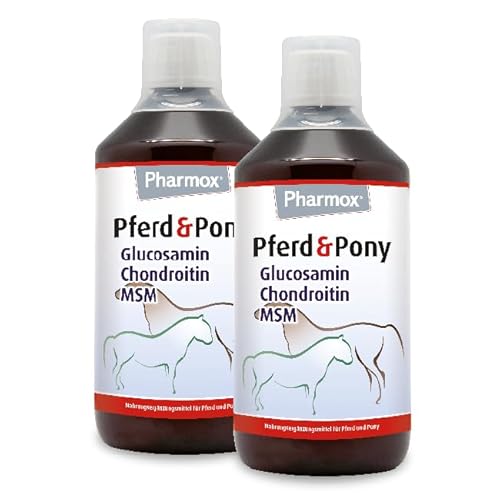 Pharmox Pferd & Pony Glucosamin - MSM - Chondroitin - Sirup 2 L - Trägt zu Einer Guten Mobilität bei von Pharmox