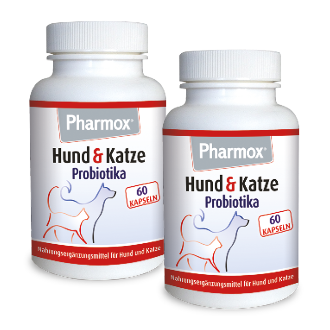 Unterstützen Sie die Darmflora und Verdauung von Pharmox