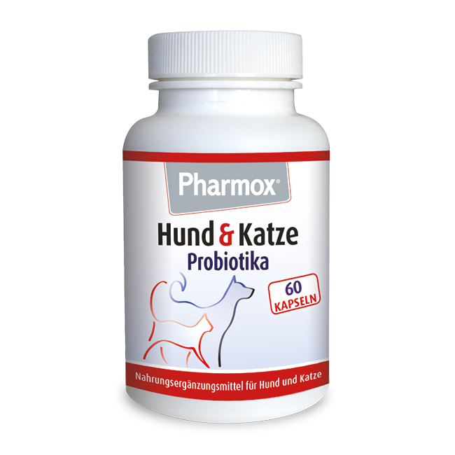 Unterstützen Sie die Darmflora und Verdauung von Pharmox