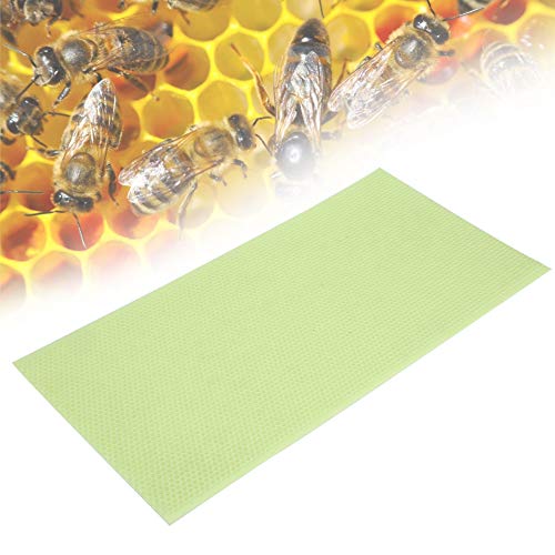 Honigblatt für Bienenzucht, Bienenwachsbasis aus grünem Kunststoff, zur Entwicklung von Nestern und Schlüpfen für Bienenzucht von Phefop