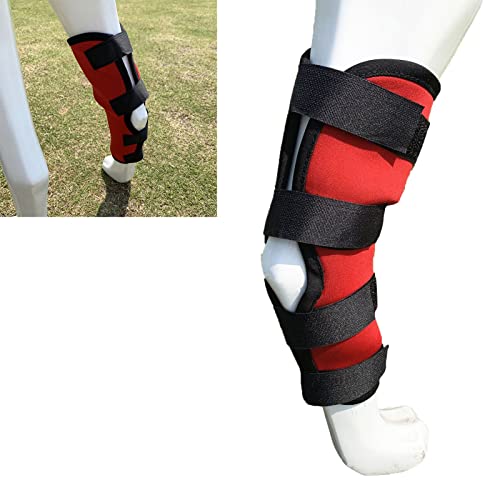 Hund Beinorthese Elastische, Einstellbare Kompressionsband Verhinderung Rutschschutz Beinschützer Tiere für Entzündungen der Gelenke - Bietet Stabilisierende Hund Beinorthese Elastische, Einstellbare Kompressionsband Verhinderung Rutschschutz Beinschützer Tiere für Entzündungen der Gelenke - Bietet Stabilisierende von Phefop