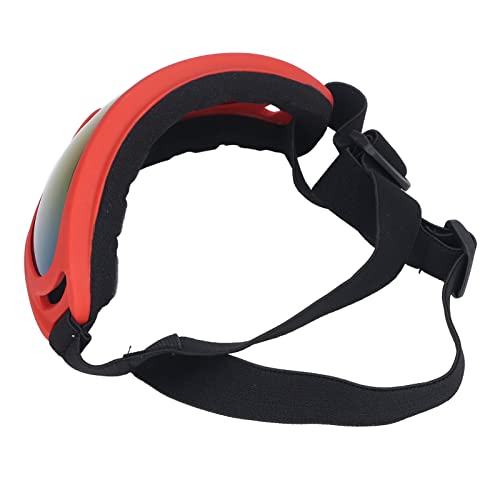 Phefop Hundesonnenbrille, Haustierbrille, aus PVC, Winddicht, Flexibel, Verstellbar, für Kleine und Mittelgroße Hunde, UV-Schutz, Rahmenfarbe 3004 Schwarz (3004 Farbfilm mit rotem Rahmen) von Phefop