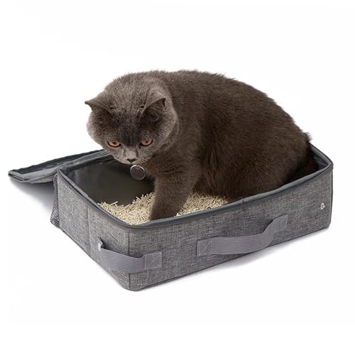 Katzenbox im Autoduft Ablauffest (Stil 1) von Phefop