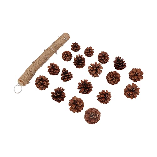Kiefernzapfenspielzeug für Vögel, Kiefernzapfen und Holzfutterspielzeug, Vogelkäfige, hängendes Spielzeug für Wellensittiche, Mini-Aras oder kleine Vögel Kiefernzapfenspielzeug für Vögel, Kiefernzapfen und Holzfutterspielzeug, Vogelkäfige, hängendes Spielzeug für Wellensittiche, Mini-Aras oder kleine Vögel von Phefop