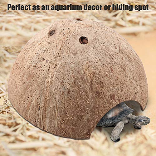 Kokosnussschalen -Haus für Reptilien - für Amphibien und Spinnen 1 Höhlenaquarium Kokosnussschalen -Haus für Reptilien - für Amphibien und Spinnen 1 Höhlenaquarium von Phefop