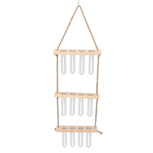 Phefop 3 -stufige Wandhänge -Pflanzen Terrarium mit Transparenten Glasrohre und Holzständer (Holzfarbe) von Phefop