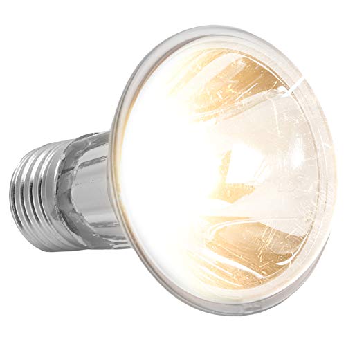Phefop Amphibien Sonnenbathe Lampe, 1000 Stunden Lebensdauer Reptilien Wärme Glühbirnenmaterial Heatel für Reptil, Bärtiger Drache, Eidechse, Schlange (75W 110V) von Phefop