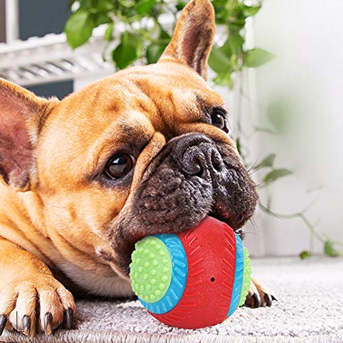 Phefop Elastischer Gummiball für Hunde und Haustiere, Sicheres Zahnkauspielzeug, für das Apportiertraining für Hunde, Hochwertiges Gummimaterial Phefop Elastischer Gummiball für Hunde und Haustiere, Sicheres Zahnkauspielzeug, für das Apportiertraining für Hunde, Hochwertiges Gummimaterial von Phefop