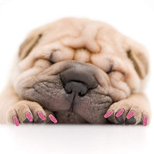 Phefop Haustierhund Weiche PVC -Nagelabdeckung Zum Pflegen, das Kratzen Verhindern, 100pcs Crystal Pink/Large, Mittelgroße Hunde (M) von Phefop