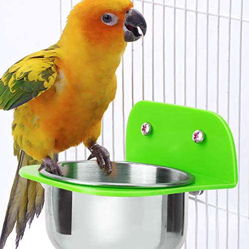 Phefop Langlebiges Metall-Wasser-Wasser-Fütterungsschalenbecher, Leicht zu Reinigen, Verhindert Bakterienwachstum, Geeignet für Alle Tiere, Hangbar oder Eigenständig (kleines Grün) von Phefop