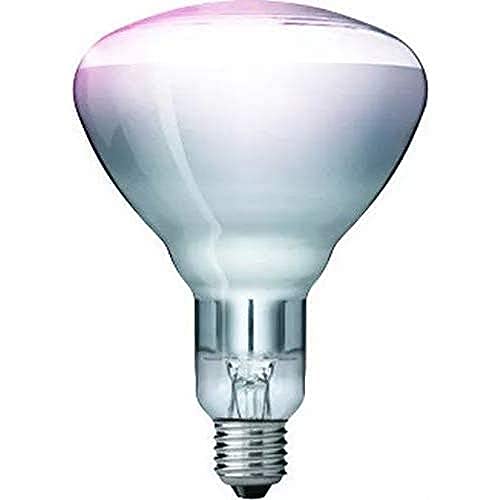 Kerbl 22316 Hartglaslampe "Philips", 250 W / 230-250 V, klar von Philips Lighting