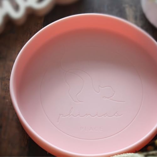 Katzennapf aus BPA-freiem Silikon, Flacher Rand für Schnurrhaarstress, Silikonnapf von Phinias Place (Apricot) von Phinias-Place