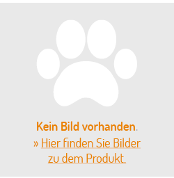 PhoneNatic Faltbarer Silikon-Hundenapf in orange, Reisenapf für Hunde und Katzen mit Karabiner -, S, orange, 350 ml, 60014333 von PhoneNatic