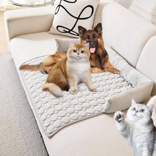 Pelzbarn Kühlendes Sofabett, Pelsbarn Kühlendes Sofabett, wasserdichte Haustiermatte Für Katzen Und Hunde, Sommerkühles Haustiersofa-Eiskissen (Grau, 70cm*70cm) von Phqenzap