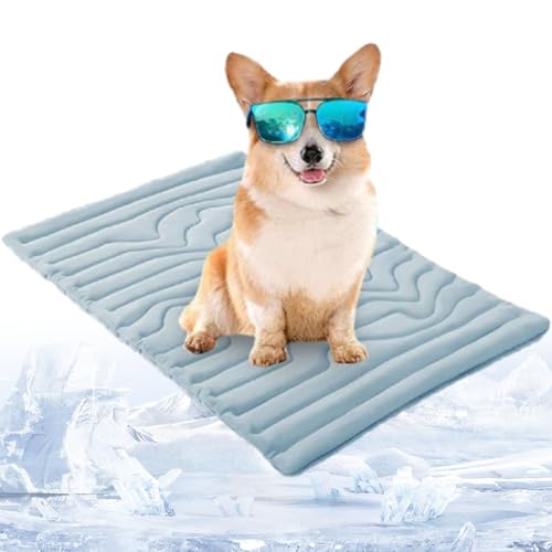 Phqenzap Nordseepfote Kühlmatte, Kühlmatte Hund Ohne, Rollbar & Waschbar – Beidseitig Nutzbares Hundekühlpad Für Auto, Garten & Reisen (Blau, S: 40 x 50 cm (bis 8 kg)) von Phqenzap