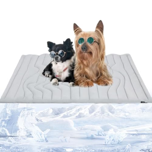 Phqenzap Nordseepfote Kühlmatte, Kühlmatte Hund Ohne, Rollbar & Waschbar – Beidseitig Nutzbares Hundekühlpad Für Auto, Garten & Reisen (Grau, S: 40 x 50 cm (bis 8 kg)) von Phqenzap