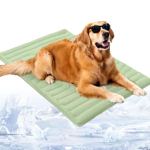 Phqenzap Nordseepfote Kühlmatte, Kühlmatte Hund Ohne, Rollbar & Waschbar – Beidseitig Nutzbares Hundekühlpad Für Auto, Garten & Reisen (Grün, M: 60 x 90 cm (bis 20 kg)) von Phqenzap
