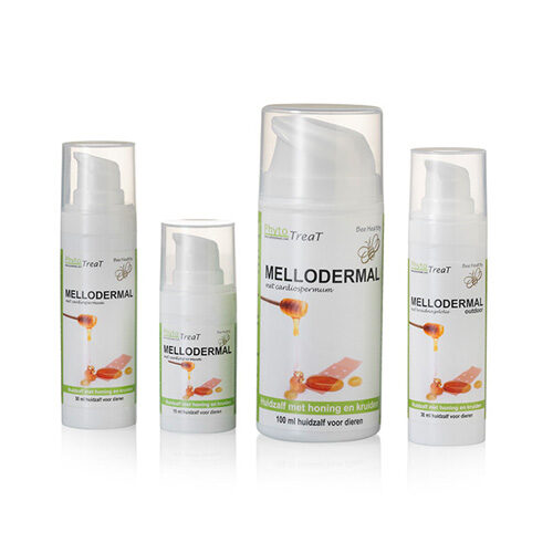 PhytoTreat Mellodermal Honigsalbe Indoor - 100 ml von PhytoTreat