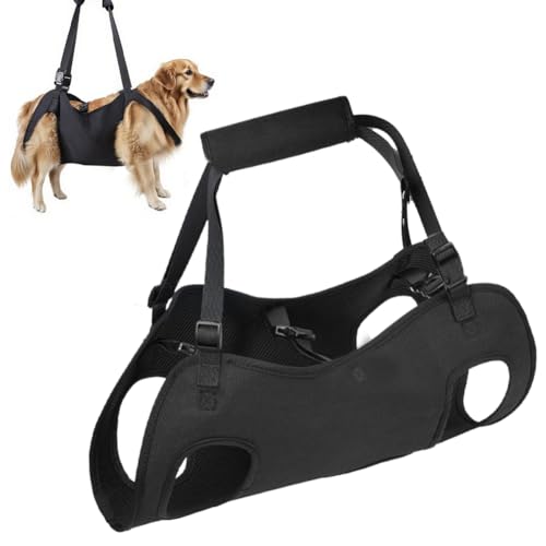 Hunde Tragehilfe,Tragehilfe Hund Treppe Verstellbare für Hinterbeine Hüftstütze mit Griffen Sicherheitsunterstützung für behinderte, verletzte oder ältere Hunde (schwarz, M) von Piashow