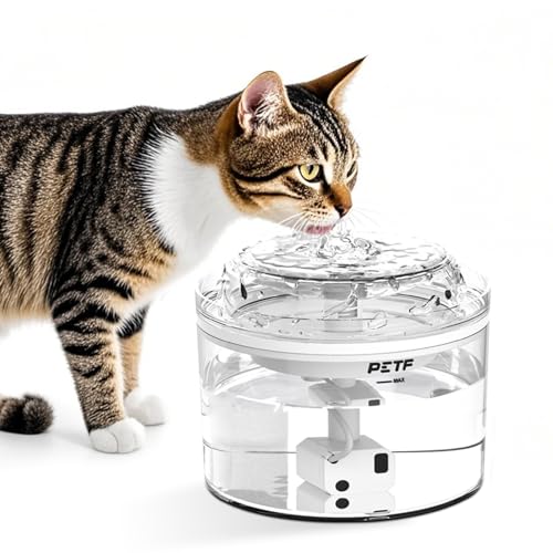 Katzentrinkbrunnen, Wasserbrunnen mit Filter - Leiser automatischer Katzentrinkbrunnen - Katzen- und Hundetrinkbrunnen - Haustiertrinkbrunnen mit Aktivkohlefilter und transparentem Wasserstand Katzentrinkbrunnen, Wasserbrunnen mit Filter - Leiser automatischer Katzentrinkbrunnen - Katzen- und Hundetrinkbrunnen - Haustiertrinkbrunnen mit Aktivkohlefilter und transparentem Wasserstand von Piashow