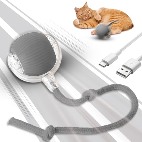Piashow Magic Ball Hund, Interaktives Hundespielzeug, Katzenspielzeug Elektrisch, Interaktives Katzenspielzeug, Chewie Rolling Ball mit USB Aufladbar (Grau) von Piashow