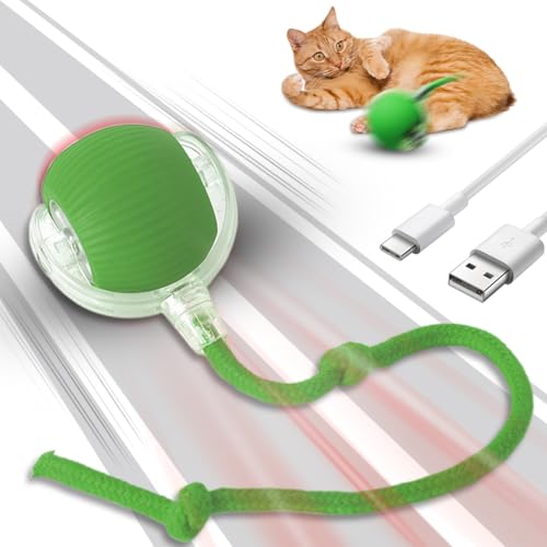 Piashow Magic Ball Hund, Interaktives Hundespielzeug, Katzenspielzeug Elektrisch, Interaktives Katzenspielzeug, Chewie Rolling Ball mit USB Aufladbar (Grün) von Piashow