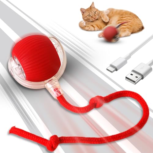 Piashow Magic Ball Hund, Interaktives Hundespielzeug, Katzenspielzeug Elektrisch, Interaktives Katzenspielzeug, Chewie Rolling Ball mit USB Aufladbar (Rot) von Piashow