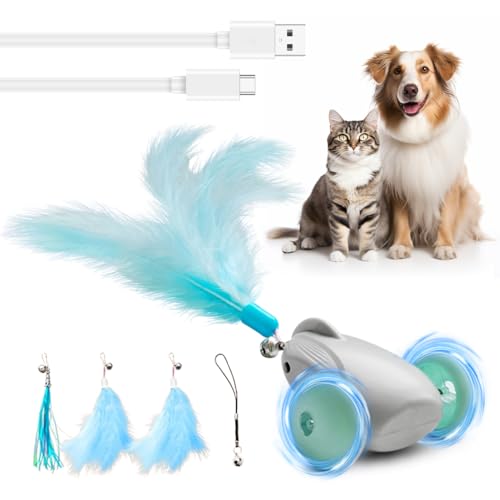 Piashow Katzenspielzeug Selbstbeschäftigung Interaktives,Katzen USB Aufladbar, Katzenspielzeug Elektrisch mit Soundeffekten Automatisch Cat Toys ,Katzenspielzeug Interaktiv Spielzeug,Hellblau Piashow Katzenspielzeug Selbstbeschäftigung Interaktives,Katzen USB Aufladbar, Katzenspielzeug Elektrisch mit Soundeffekten Automatisch Cat Toys ,Katzenspielzeug Interaktiv Spielzeug,Hellblau von Piashow