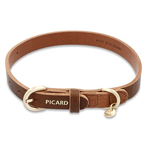 Picard Damen Hundehalsband Susi Größe S aus Klein | Breite 1,5 cm höhe 0,3 cm länge 46,5 cm mit Schnallenverschluss | Alltag, Ausgehen… von Picard