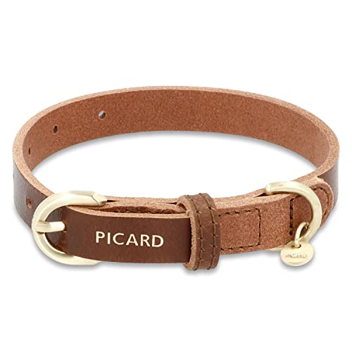 Picard Damen Hundehalsband Susi Größe Xs aus Klein | Breite 1,5 cm höhe 0,3 cm länge 36 cm mit Schnallenverschluss | Alltag, Ausgehen… (Cafe) von Picard