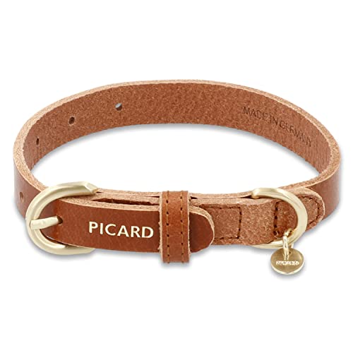Picard Damen Hundehalsband Susi Größe Xs aus Klein | Breite 1,5 cm höhe 0,3 cm länge 36 cm mit Schnallenverschluss | Alltag, Ausgehen… (Cognac) von Picard