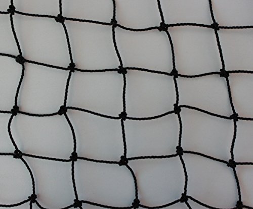 Pieloba Geflügelzaun Geflügelnetz schwarz Küken Masche 3 cm Stärke: 1,5 mm Größe: 1,00 m x 10 m Pieloba Geflügelzaun Geflügelnetz schwarz Küken Masche 3 cm Stärke: 1,5 mm Größe: 1,00 m x 10 m von Pieloba
