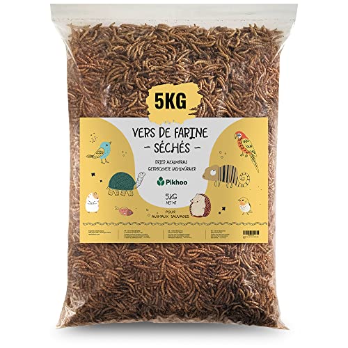 Getrocknete Mehlwürmer | 5 kg | Essbare Insekten Mehlwürmer für Himmelsvögel, getrocknete Insekten, Vogelfutter für den Außenbereich von Pikhoo