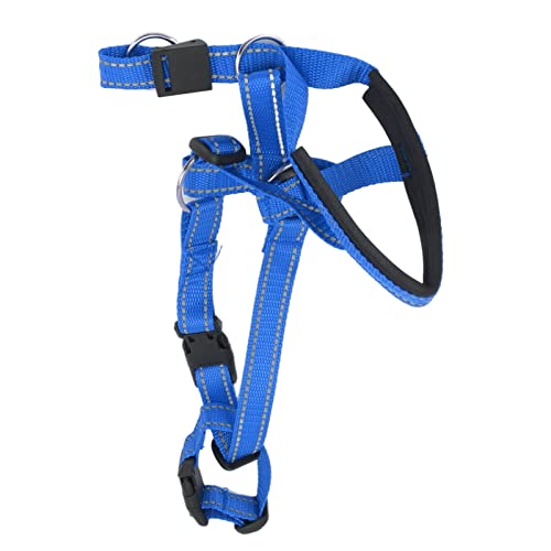 Atmungsaktives Hundehalsband Mit Riemen Für Sanfte Kontrolle Und Komfortables Training(L-Blau) von Pilipane