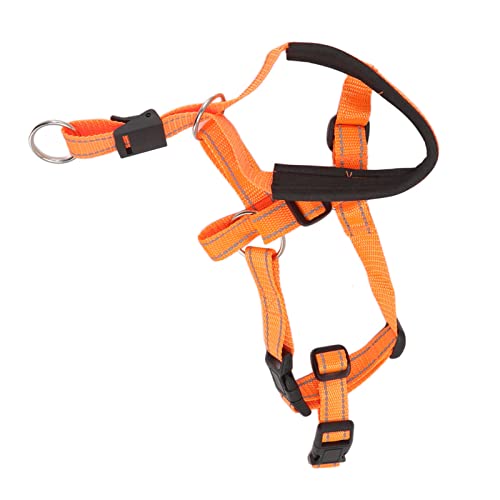 Atmungsaktives Hundehalsband Mit Riemen Für Sanfte Kontrolle Und Komfortables Training(L-Orange) von Pilipane
