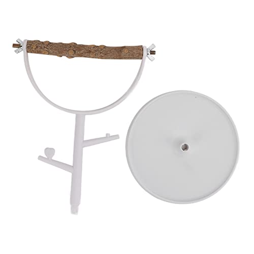 Bird Stand Naturholz Anti -Schlupf tragbare Tabletop -Papageien Training Spielen Barsch für den Gebrauch im Innenbereich im Freien mit simulierten Zweigen und Nicht -Slip -Basis Bird Stand Naturholz Anti -Schlupf tragbare Tabletop -Papageien Training Spielen Barsch für den Gebrauch im Innenbereich im Freien mit simulierten Zweigen und Nicht -Slip -Basis von Pilipane